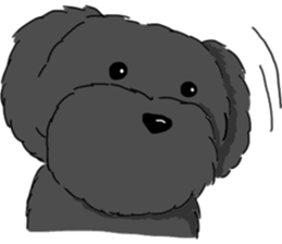 black lovely poodle sticker #11477918