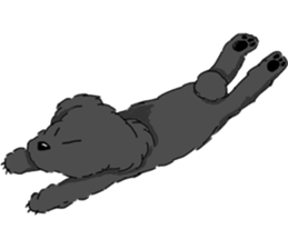 black lovely poodle sticker #11477921