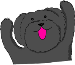 black lovely poodle sticker #11477922