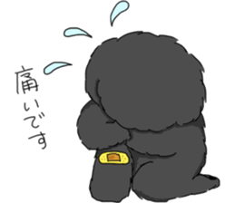 black lovely poodle sticker #11477923