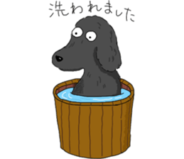 black lovely poodle sticker #11477929