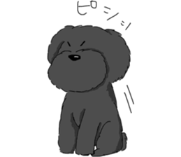 black lovely poodle sticker #11477932