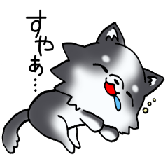 White and black and white puppy!