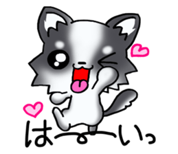 White and black and white puppy! sticker #11478977