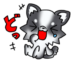 White and black and white puppy! sticker #11478988