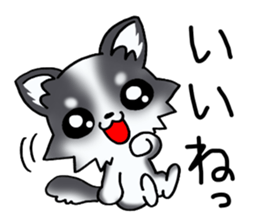 White and black and white puppy! sticker #11478991