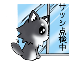 White and black and white puppy! sticker #11478993