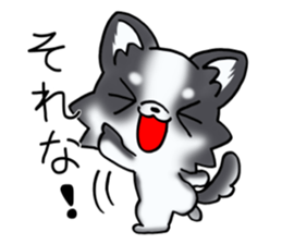White and black and white puppy! sticker #11479009