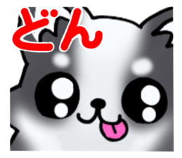 White and black and white puppy! sticker #11479010