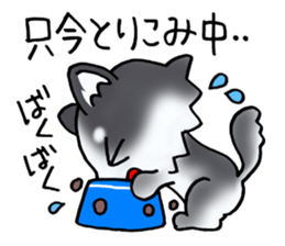 White and black and white puppy! sticker #11479012