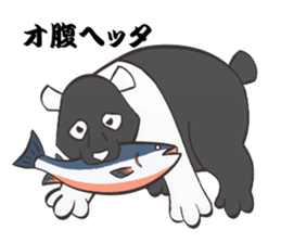 Black Panda? sticker #11480894