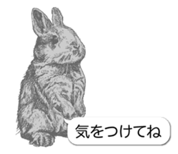 Animals of balloon sticker sticker #11481705