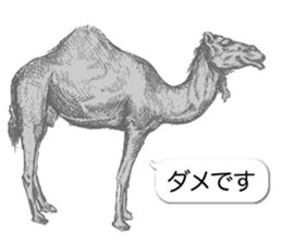 Animals of balloon sticker sticker #11481715