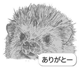 Animals of balloon sticker sticker #11481716