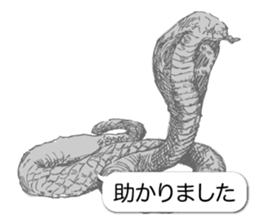 Animals of balloon sticker sticker #11481718