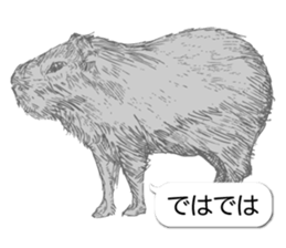 Animals of balloon sticker sticker #11481734