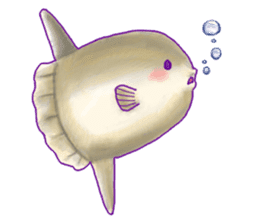 Honwaka Aquarium sticker #11487226