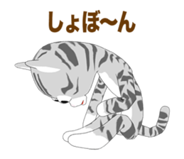 American Shorthair Episode 1 sticker #11487987