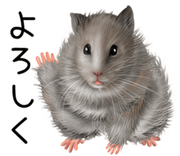 mohu mohu hamster sticker #11488755