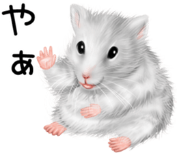 mohu mohu hamster sticker #11488756