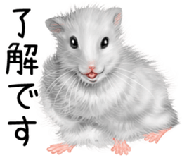 mohu mohu hamster sticker #11488757