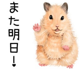 mohu mohu hamster sticker #11488758
