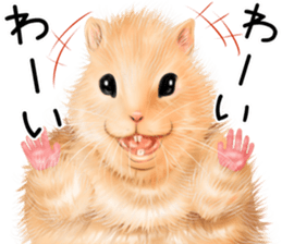 mohu mohu hamster sticker #11488760