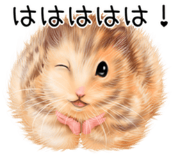 mohu mohu hamster sticker #11488761