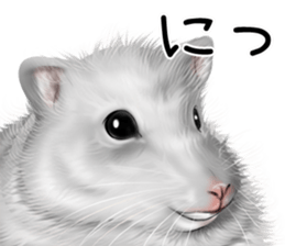 mohu mohu hamster sticker #11488764