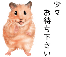 mohu mohu hamster sticker #11488766