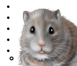 mohu mohu hamster sticker #11488767