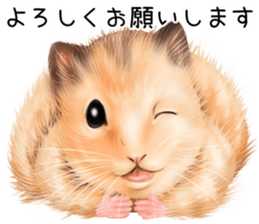 mohu mohu hamster sticker #11488768