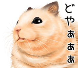 mohu mohu hamster sticker #11488769
