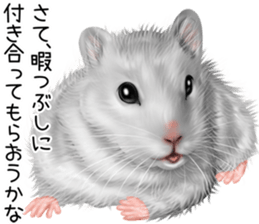 mohu mohu hamster sticker #11488770