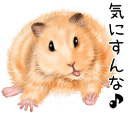 mohu mohu hamster sticker #11488772