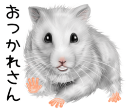 mohu mohu hamster sticker #11488773