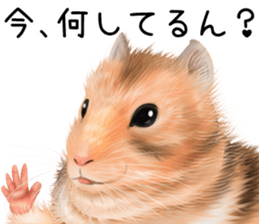 mohu mohu hamster sticker #11488774