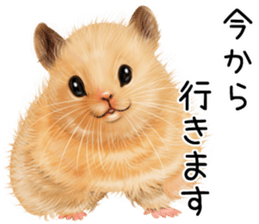 mohu mohu hamster sticker #11488775