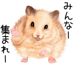 mohu mohu hamster sticker #11488778