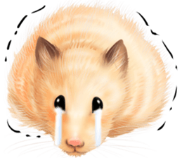 mohu mohu hamster sticker #11488779