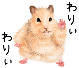 mohu mohu hamster sticker #11488780