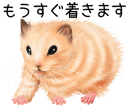 mohu mohu hamster sticker #11488782