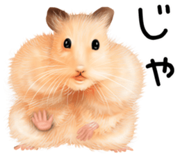 mohu mohu hamster sticker #11488784