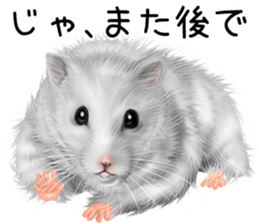 mohu mohu hamster sticker #11488785