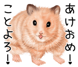 mohu mohu hamster sticker #11488790