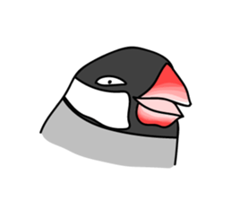 Three Birds -- close friends ?? -- sticker #11489840