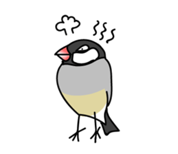 Three Birds -- close friends ?? -- sticker #11489844