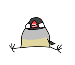 Three Birds -- close friends ?? -- sticker #11489848