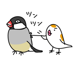 Three Birds -- close friends ?? -- sticker #11489854