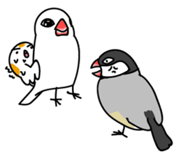 Three Birds -- close friends ?? -- sticker #11489857